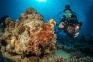 sportdiver_housing15.jpg