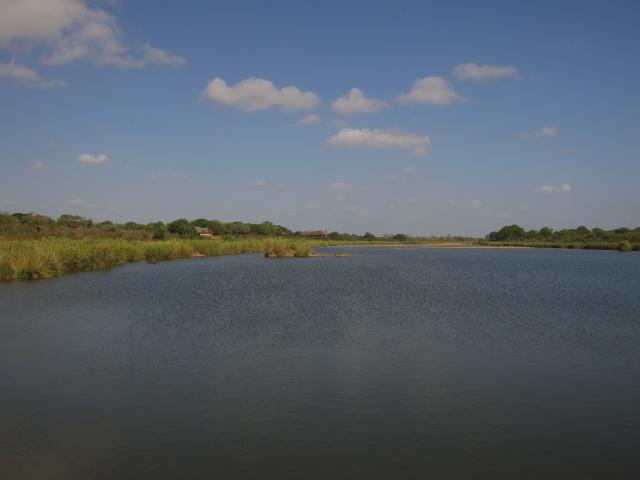 Krugerův park je vyschlý, zbytky zeleně jsou jen kolem největších řek.