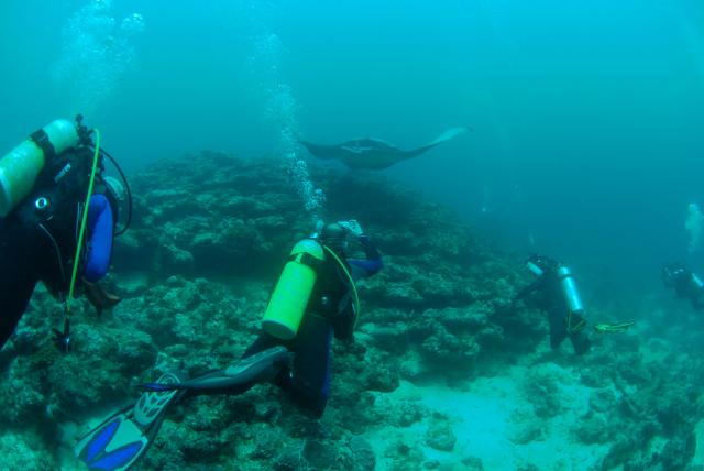 Expedice na Maledivy s potápěčským klubem Olson